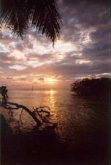 Caye Caulker