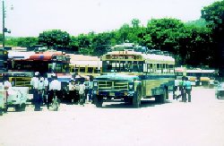 Guatemala Bus Station