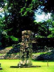 Copan 1