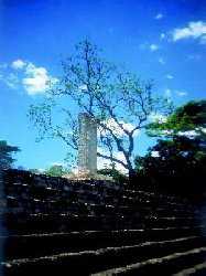 Copan