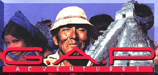 Click here to visit GAP homepage