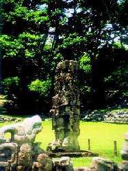 Copan 4