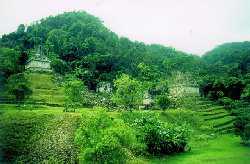 Palenque 2