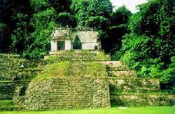 Palenque 3