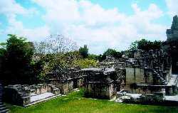 Tikal Acropolis