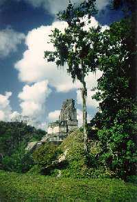 Tikal