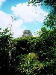 Tikal temple 4