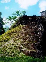 Tikal partial restoration